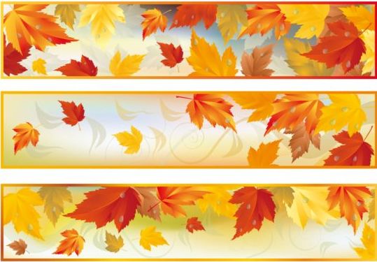Bannières vectorielles avec des feuilles d’automne vecteur ensemble 03  