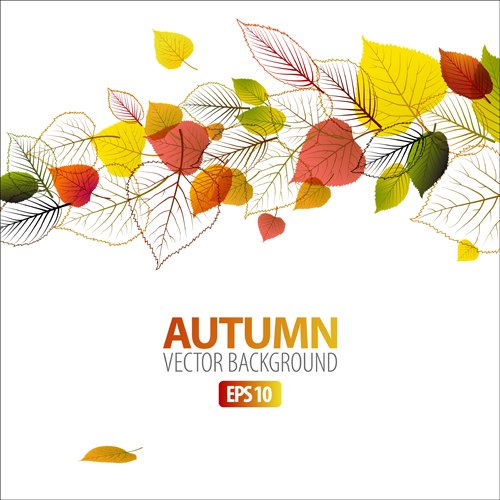 Set of charm Autumn backgrounds vector 04  