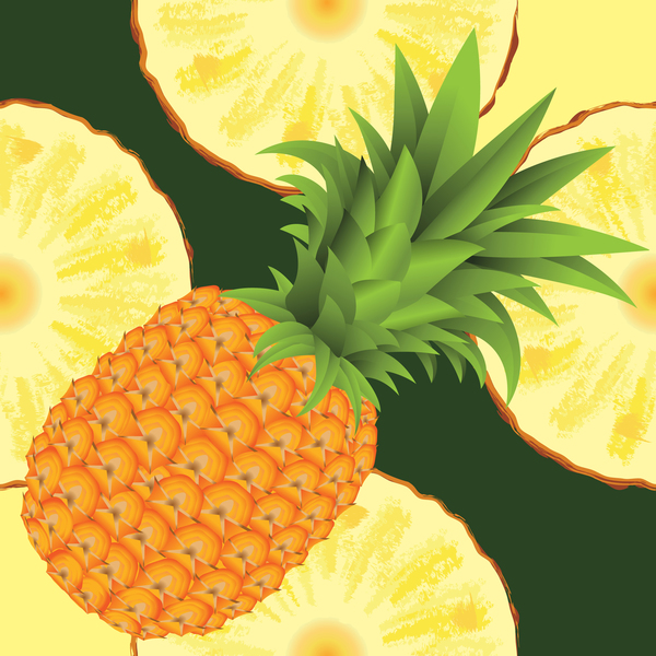 Ananas with pineapple slices vector  