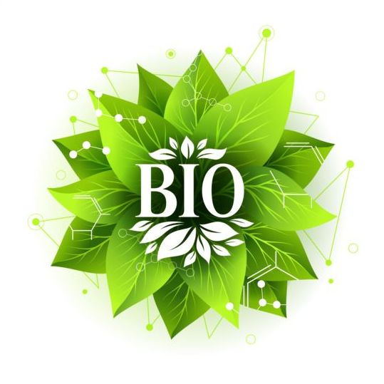 Bio etikett bricka med gröna blad vektor 06  