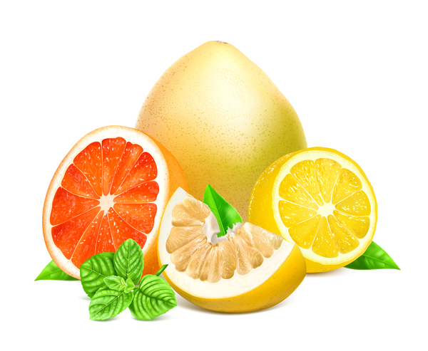 Citrus with pomelo and lemon vector 03  