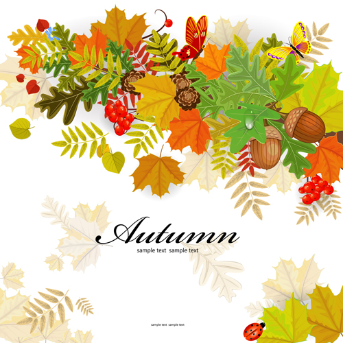 Colored autumn leaves with fructification backgrounds vector 03  