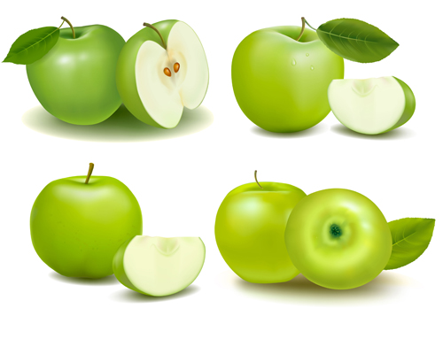 Green apple with slice vectors  