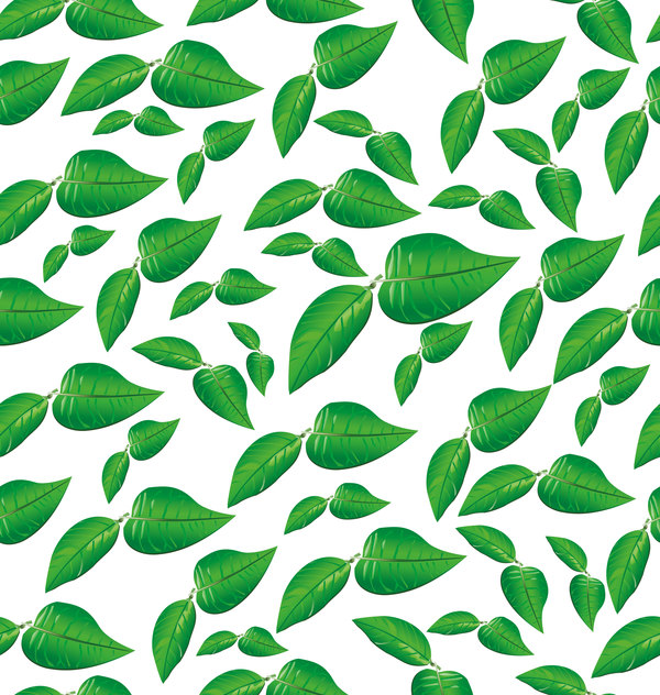 Gröna blad sömlösa mönster vektorer  