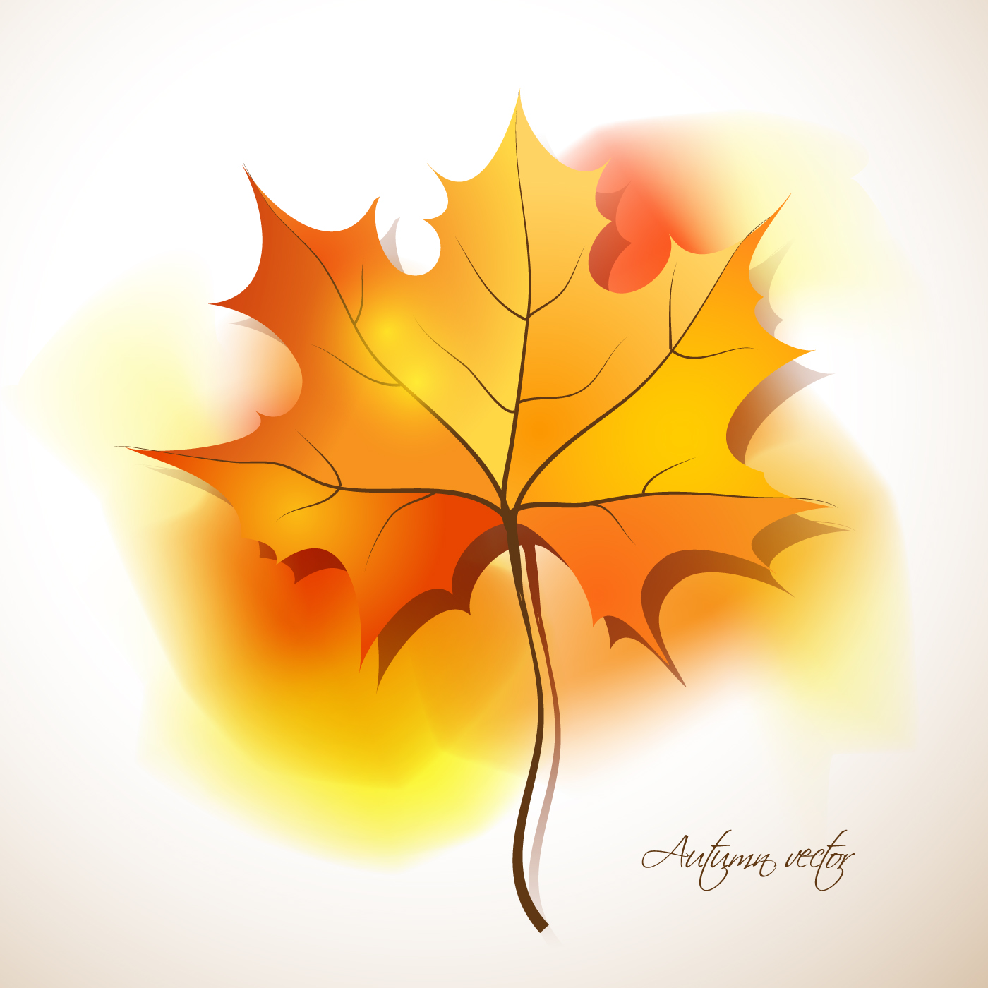 Maple Leaves design elements vector 02  