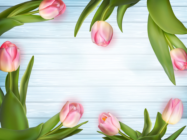 Pink tulips frame with wood background vector  