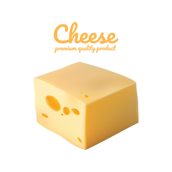 Premium quality cheese realistic vector 14  
