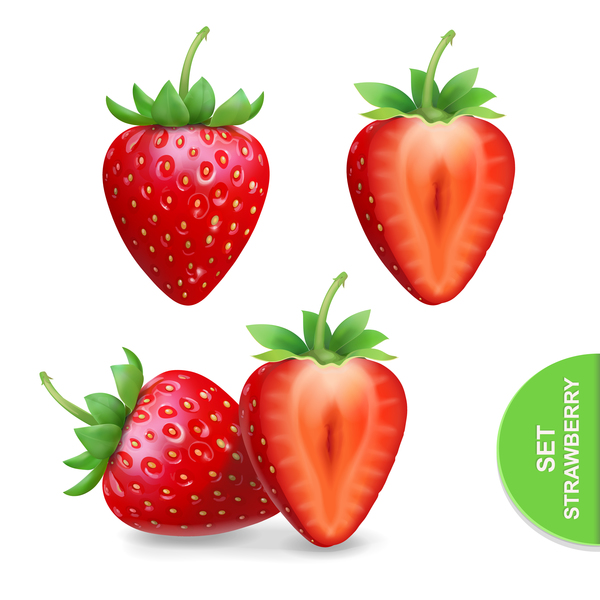 Realistic strawberry illustration vectors  