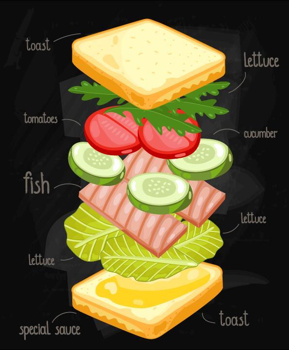 サンドイッチ成分インフォグラフィックベクター02  