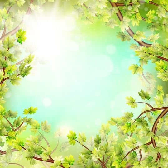 Foglie verdi estive con vettore di sfondo della luce solare 12  