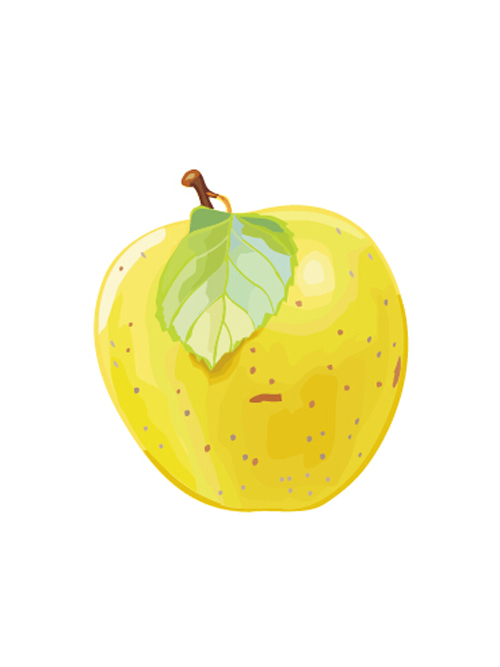Vector yellow pear design graphics  