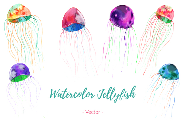 Watercolor jellylish vector material  