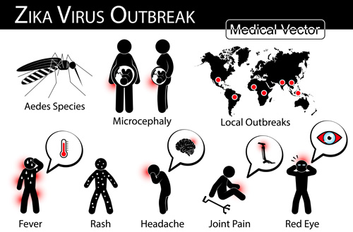 Zika virus symptom vector material  