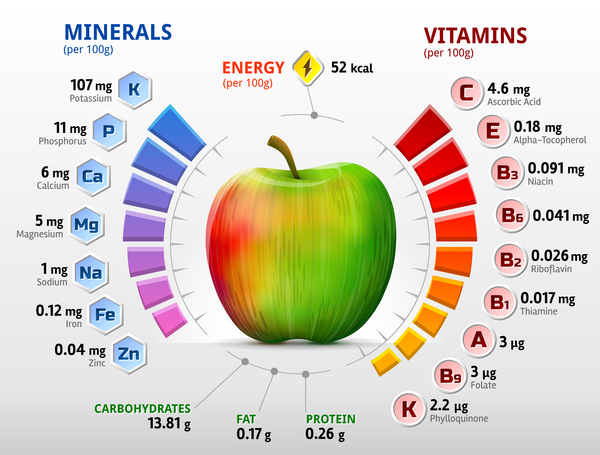 アップル ビタミン インフォ グラフィック ベクトル  