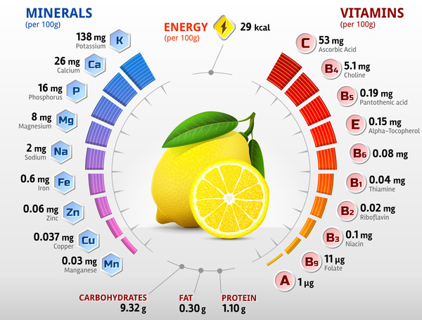 レモン ビタミン インフォ グラフィック ベクトル  