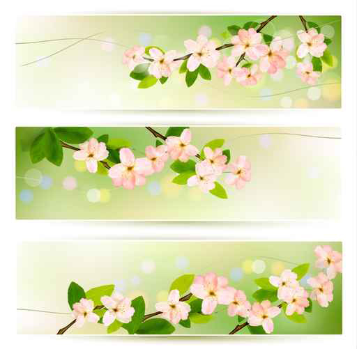 Spring Pink flowers banner vector 01  