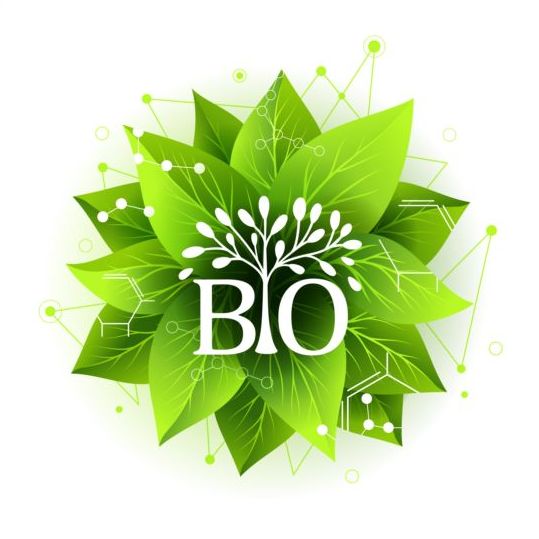 Bio label badge with green leaves vector 05  
