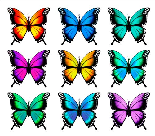 Colorful butterflies illustration vector collection 11  