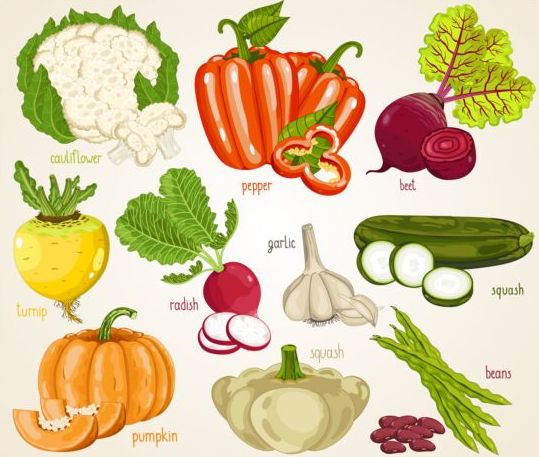 Verschillende vagetables met naam vector  