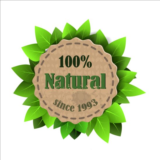 Eco Nature Label con foglia di foglie vettore 03  