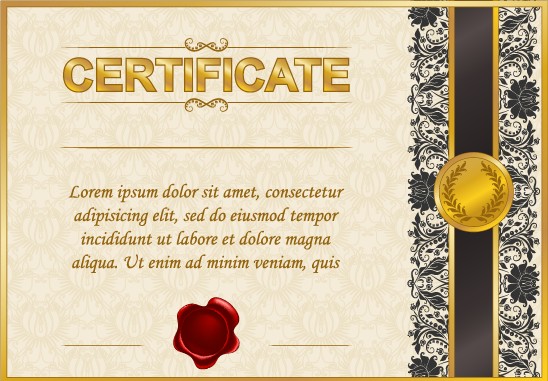 Excellent certificate and diploma template design 03  