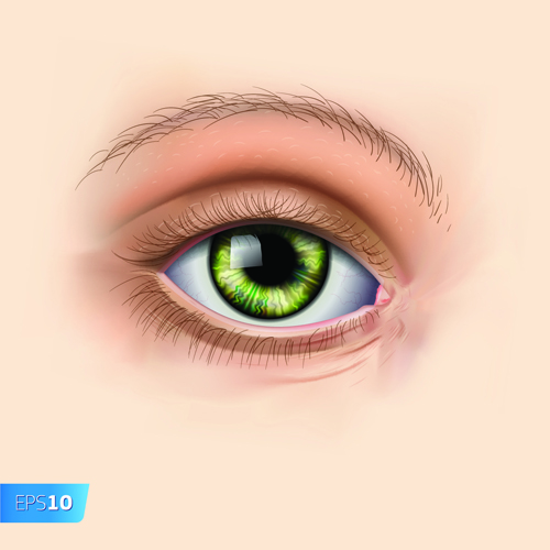 Different Eyes design vector 06  