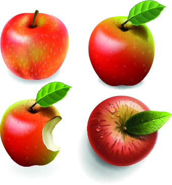 Fresh Apples creative illustration vector 03  
