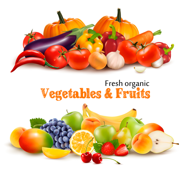 Vecteur de vegerables et de fruits frais grganiques  