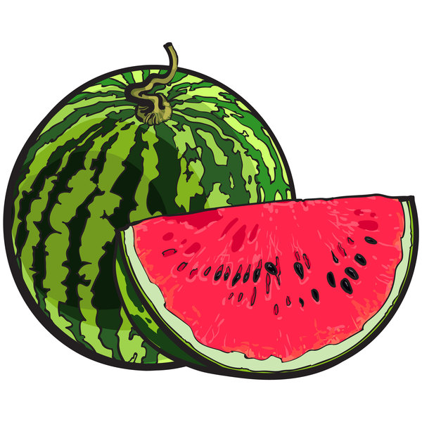 Fresh juicy watermelon with ripe vector material 03  