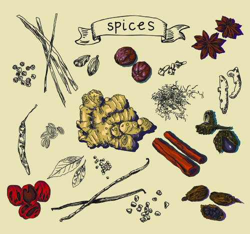 Hand drawn spices creative vector material  