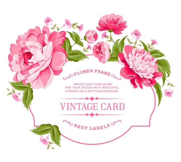 Pink peony frame vintage card vector  