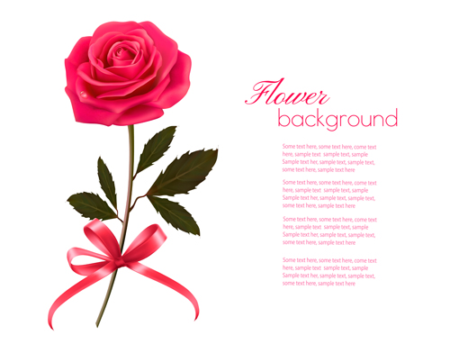 Pink rose beautiful background vectors 02  