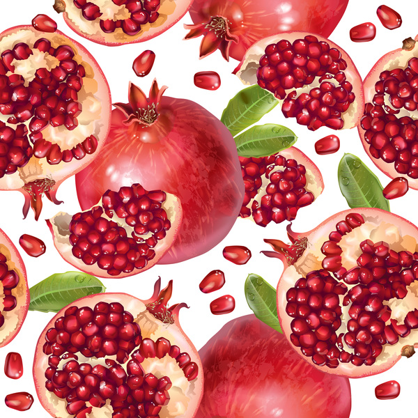 Pomegranate seamless pattern vectors  