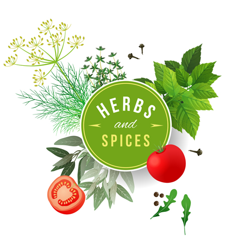 Refreshing herbs and spices vector background 01  