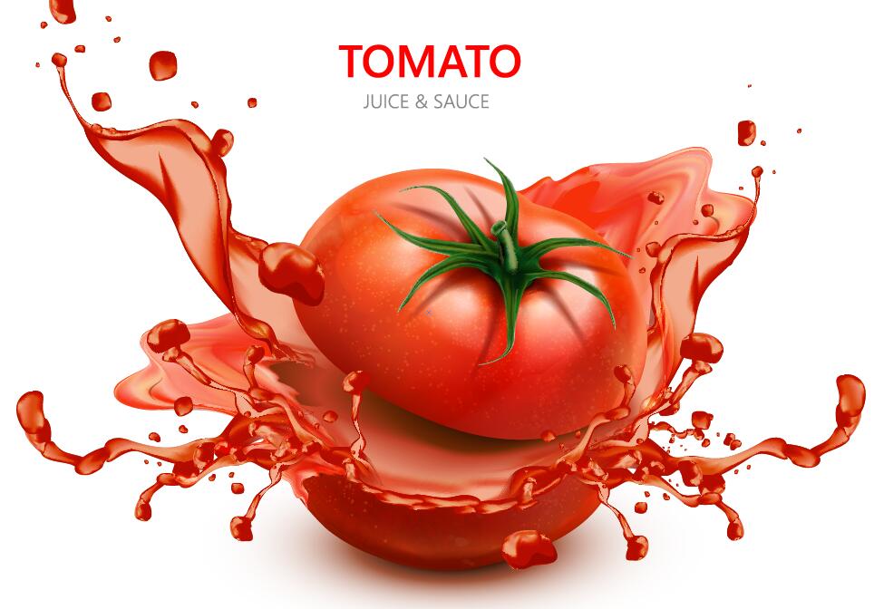 Jus de tomate avec design vectoriel fond blanc 05  