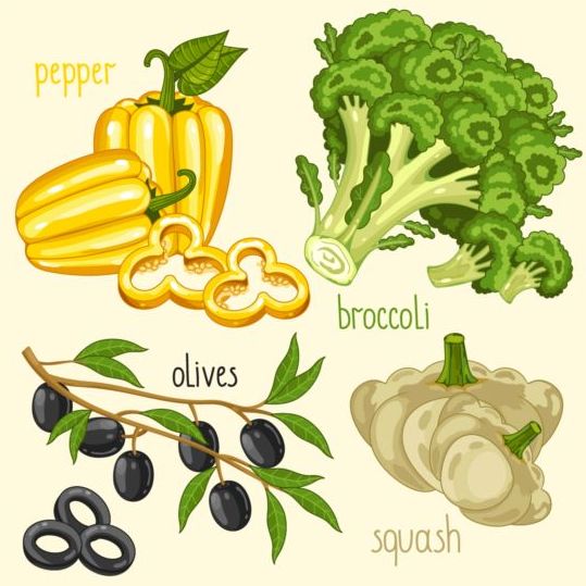 Vegetables with name design vector 03  