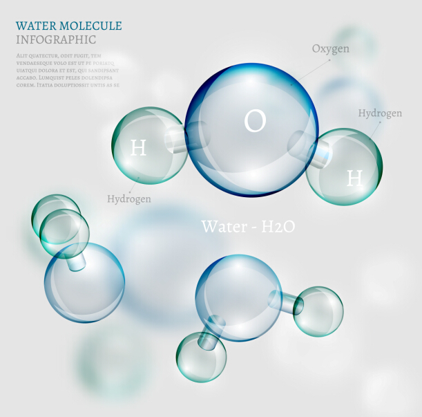 Water molecule infographics creative vectors set 13  