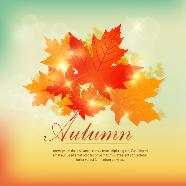 Herbstlaubdesign-Hintergrundvektor 02  