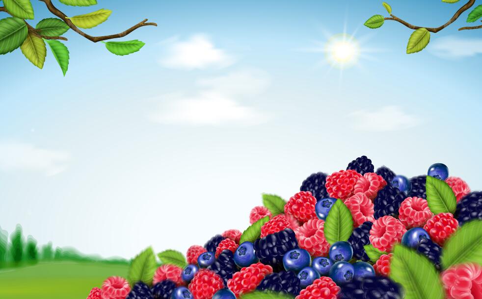Berry blend background vector 02  