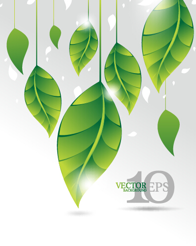 Bright green leaves backgrounds vector graphics 05  