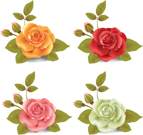 Different colored rose vector material 02  