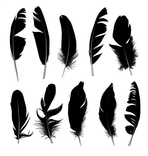 Feather silhouetter vectors set 06  