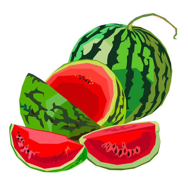Frische saftige Wassermelone mit reif Vektor Material 01  