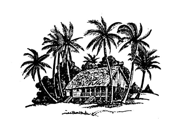 Hand drawing coconut tree and house vector  