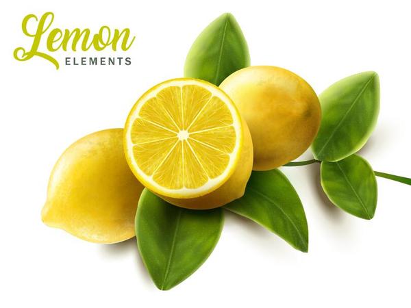 Lemon with green leaves vector  
