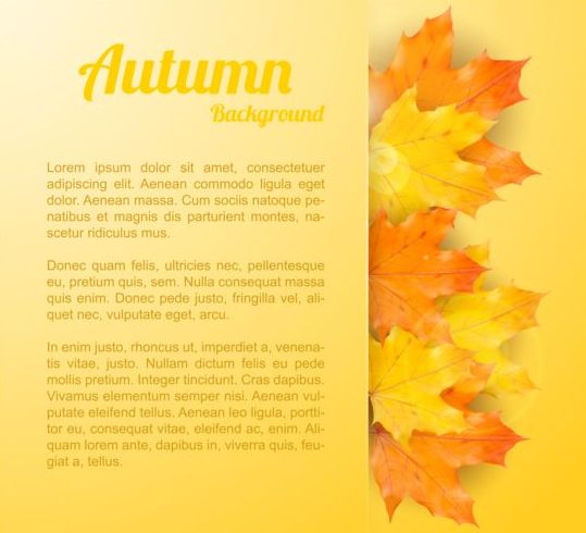 Maple leaves with autumn background vector 01  