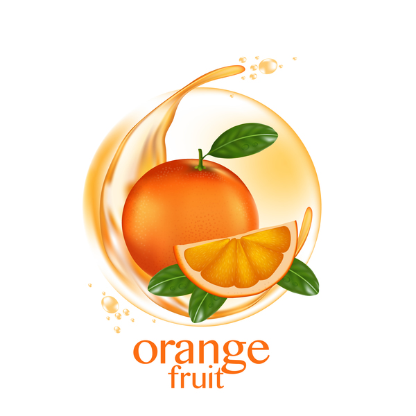 Orange Fruchtvektorillustration 01  