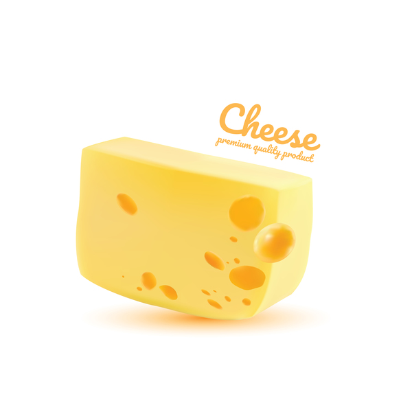 Premium quality cheese realistic vector 04  
