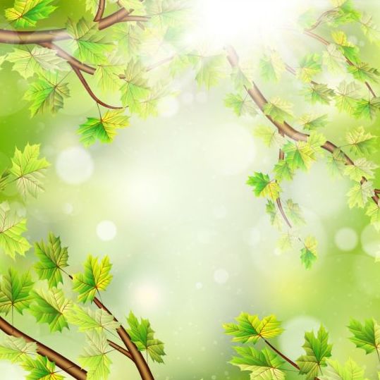 Foglie verdi estive con vettore di sfondo luce solare 11  