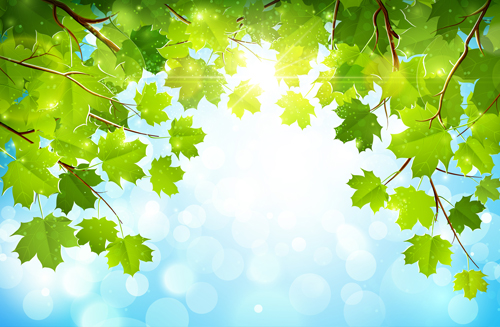 Sunlight and green leaf nature background 02  